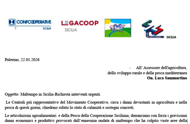Maltempo in Sicilia. Richiesta interventi urgenti all'assessore regionale all'Agricoltura, Luca Sammartino, dalle "Centrali più rappresentative del Movimento Cooperativo" di Sicilia